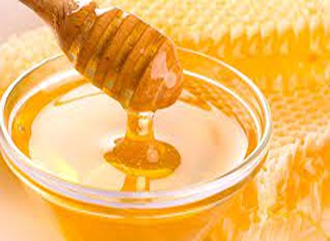 قیمت خرید عسل شهد گلها مشهد با فروش عمده